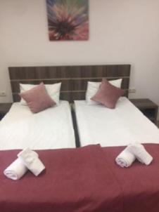 Hotel Classic Suites room 6
